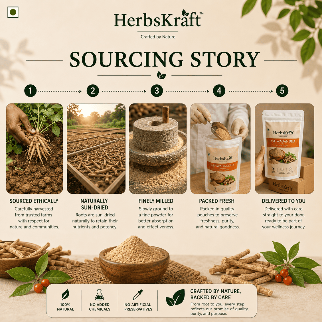 Ashwagandha Root Powder - Image 2