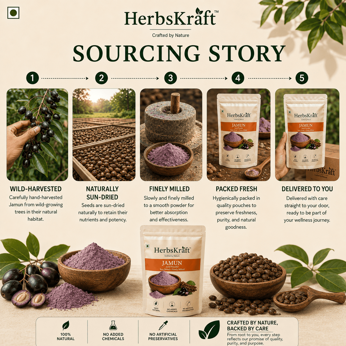 Jamun Seeds - Image 4