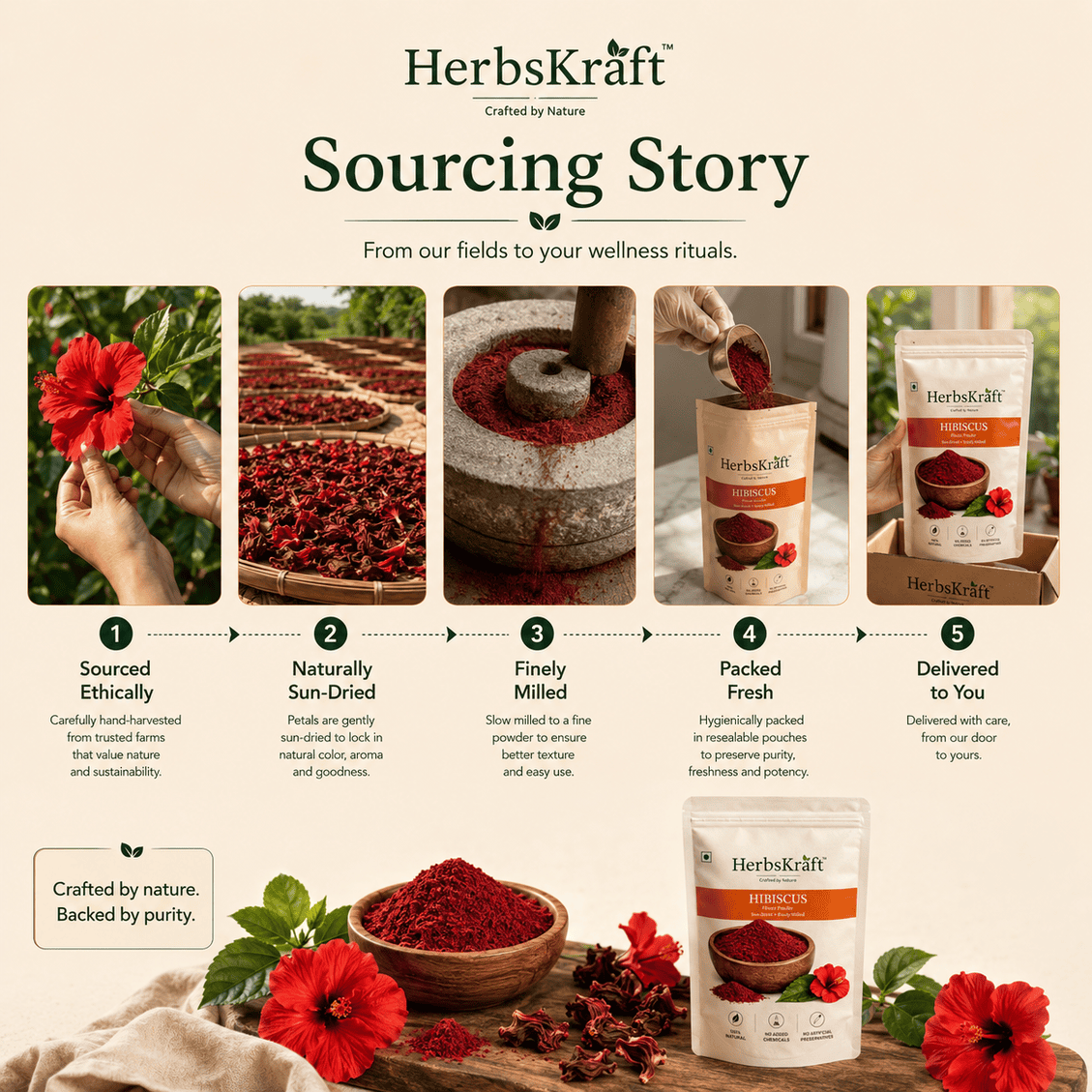 Hibiscus Powder - Image 13